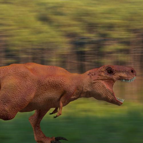 Tyranosaurus Rex preview image